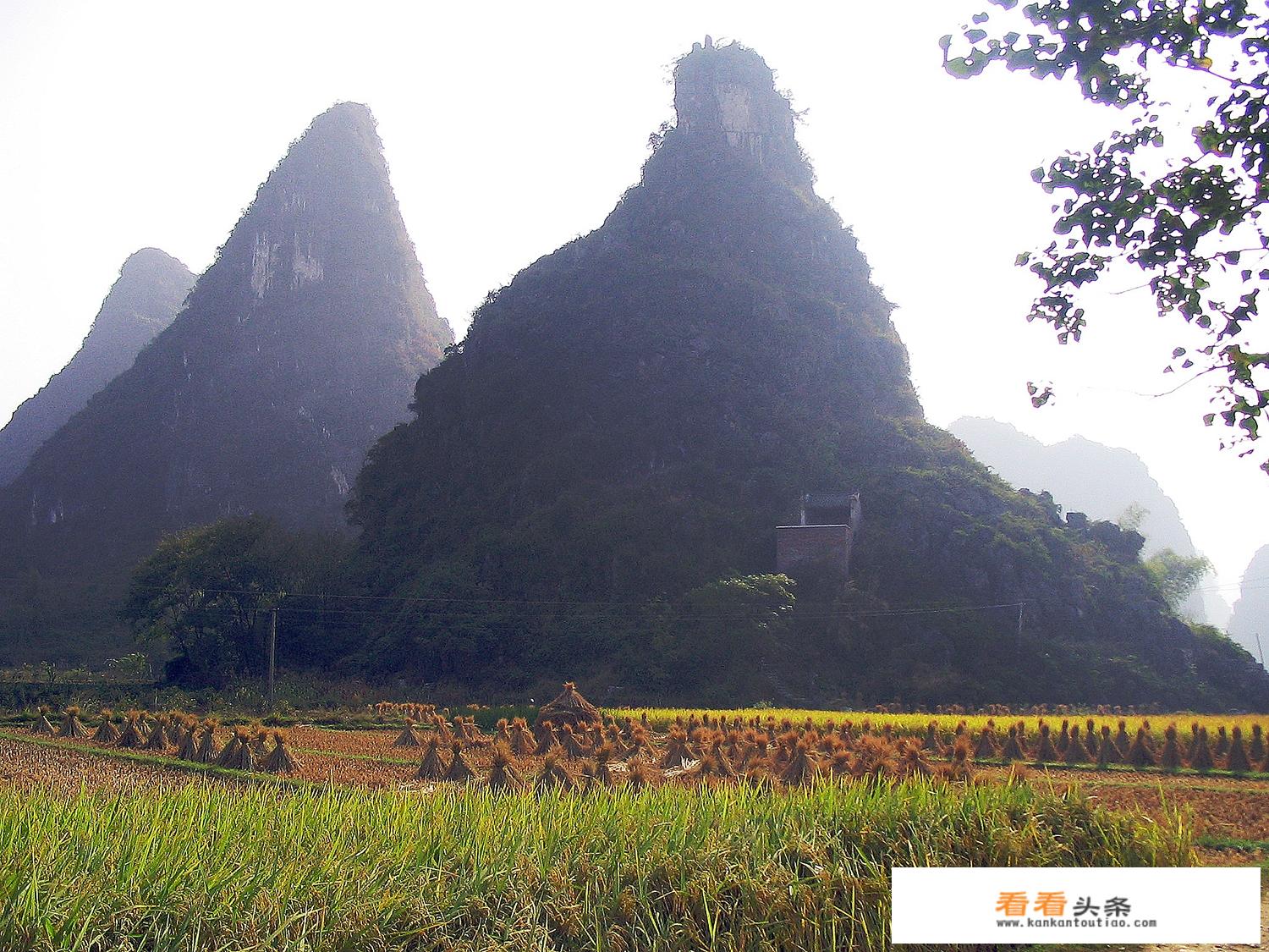 桂林旅游投诉有用吗？