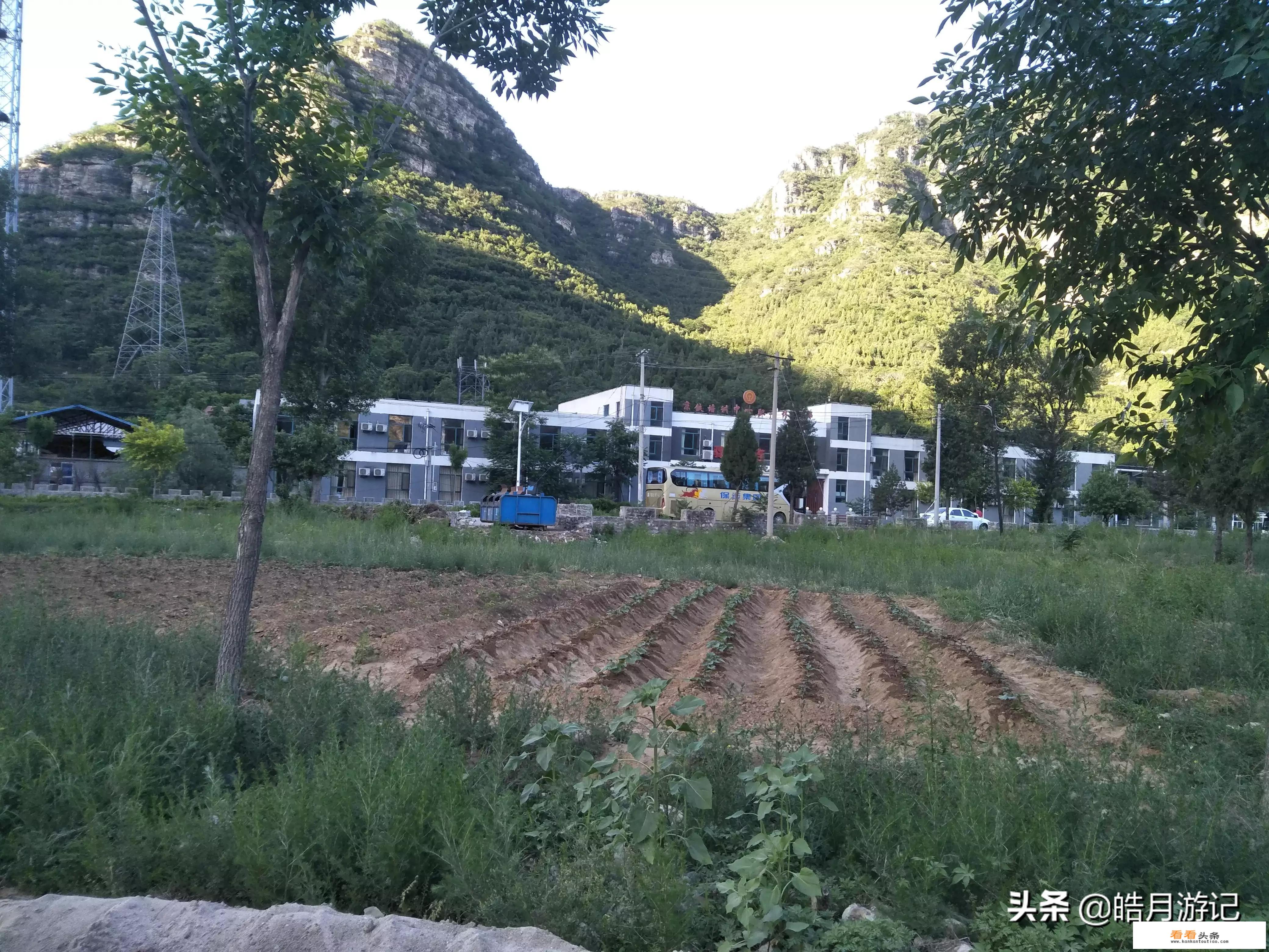 张家界国家森林公园里面有吃的吗？