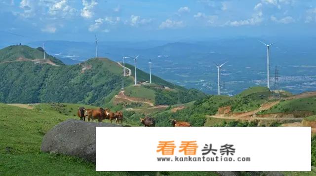 新兴县适合亲子旅游的地方在什么地方？