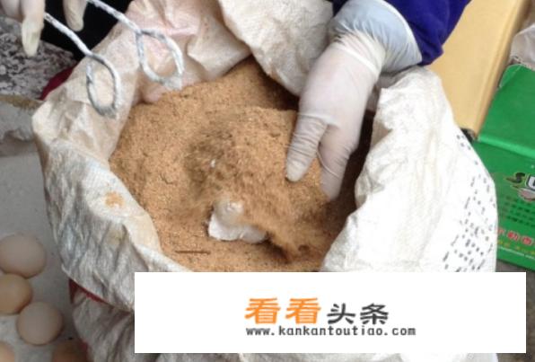 怎样自制松花蛋？