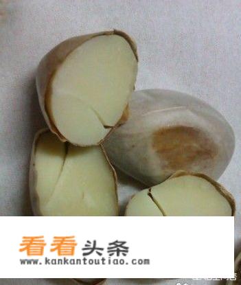 菠萝蜜的核怎么吃？