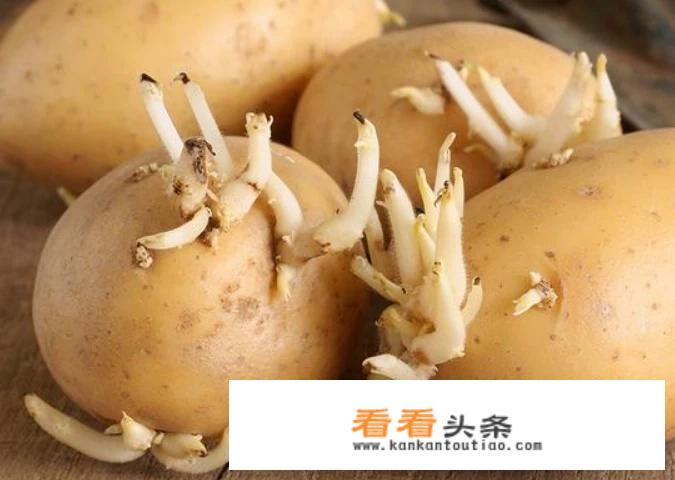 发芽的马铃薯能吃吗？