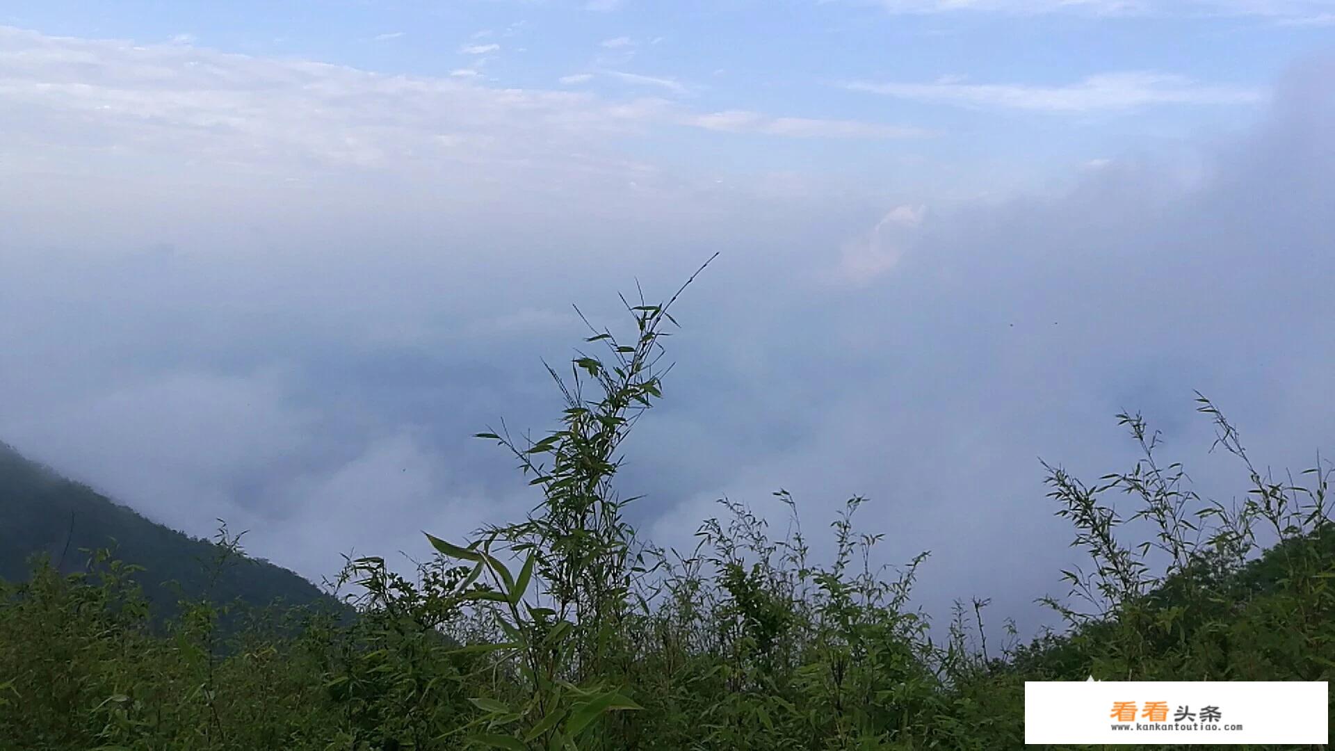 五一去陇南旅游适合吗？