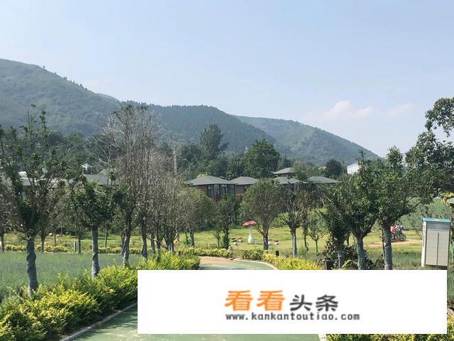 如果邻居当着所有人给别人吃东西就没有给我怎么办？怎么对付她？