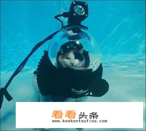 文化比较低的人可以买股票吗？