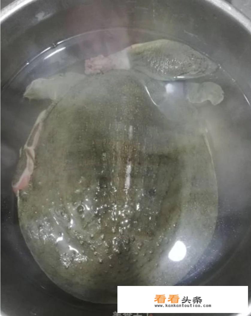 蒸甲鱼的正确方法？