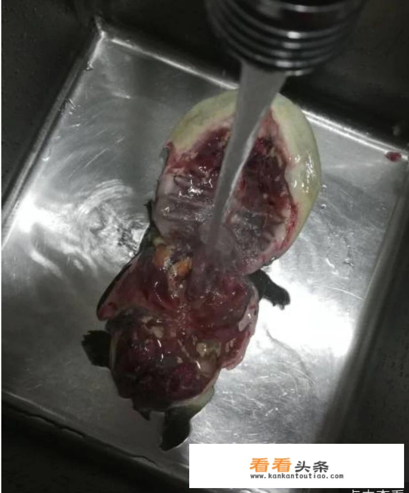 蒸甲鱼的正确方法？