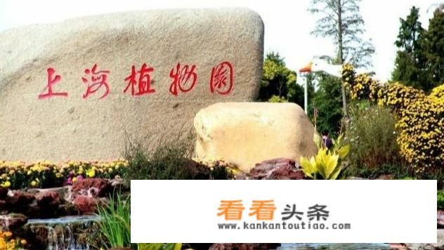 孩子陪着去上海旅游文案？