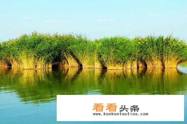想自驾去宁夏，宁夏周边旅游景点有哪些好玩的呢？