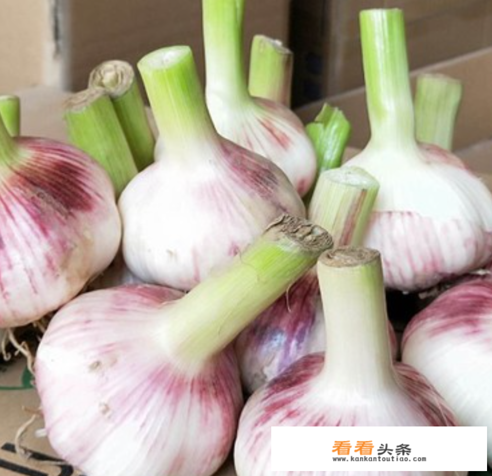 夏天泡腊八蒜的方法？