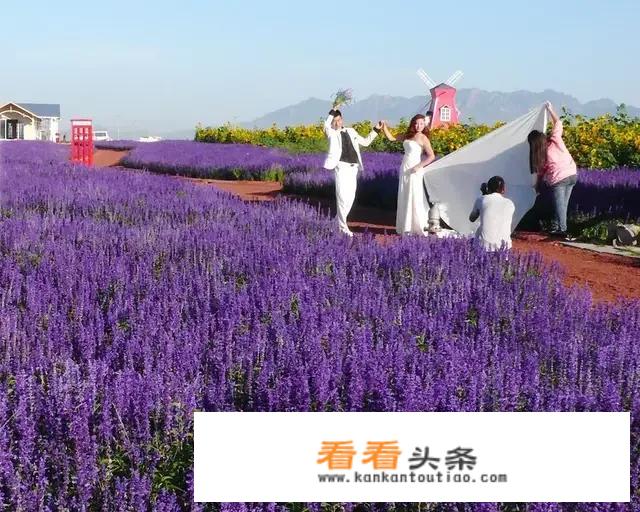 乡村旅游创业项目简况及前景分析？