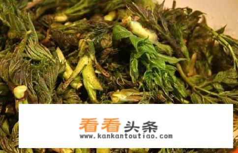 刺老芽怎么吃？