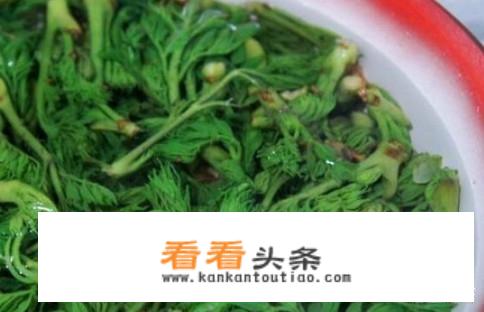 刺老芽怎么吃？