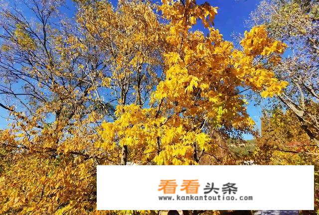 秋季天气干燥，出门旅行应该带些什么好？