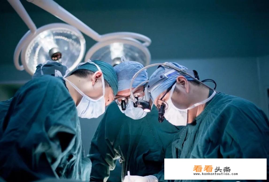 中国旅行法什么时候实施的？
