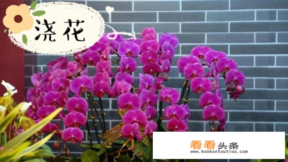 过期酸奶的十大妙用？