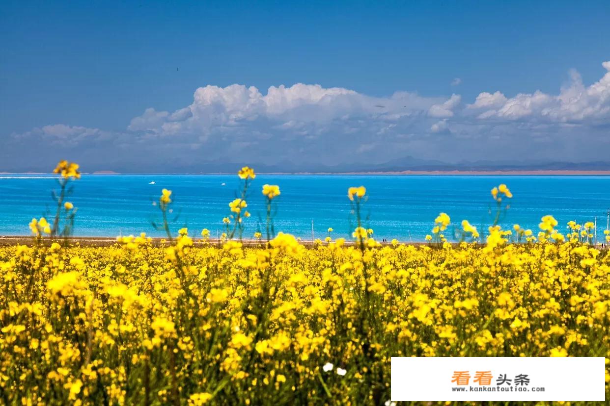 花10万元去南极科考旅游到底值不值？