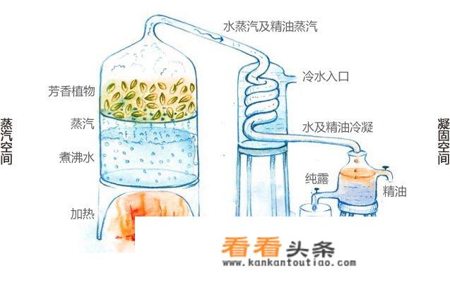 清露是什么？