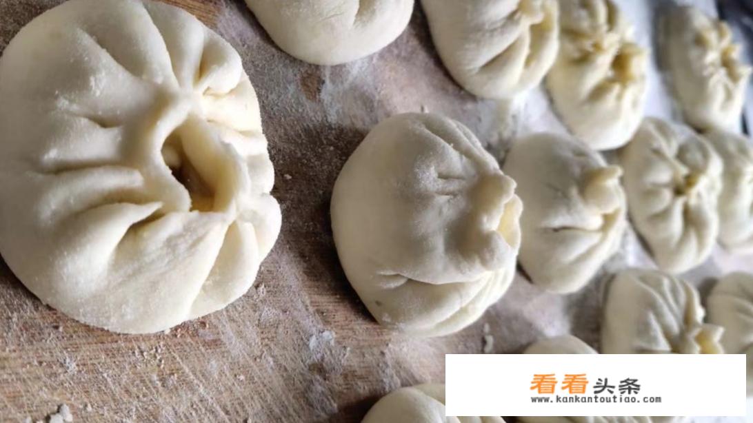 自制小笼包子和冷冻方法？