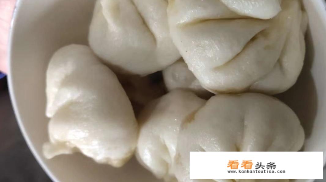 自制小笼包子和冷冻方法？