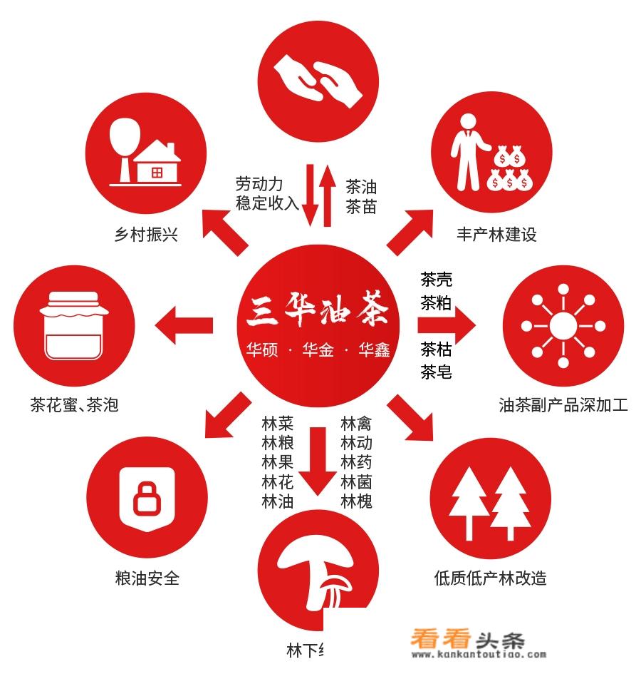 面怎么做好吃，油茶面的家常做法？