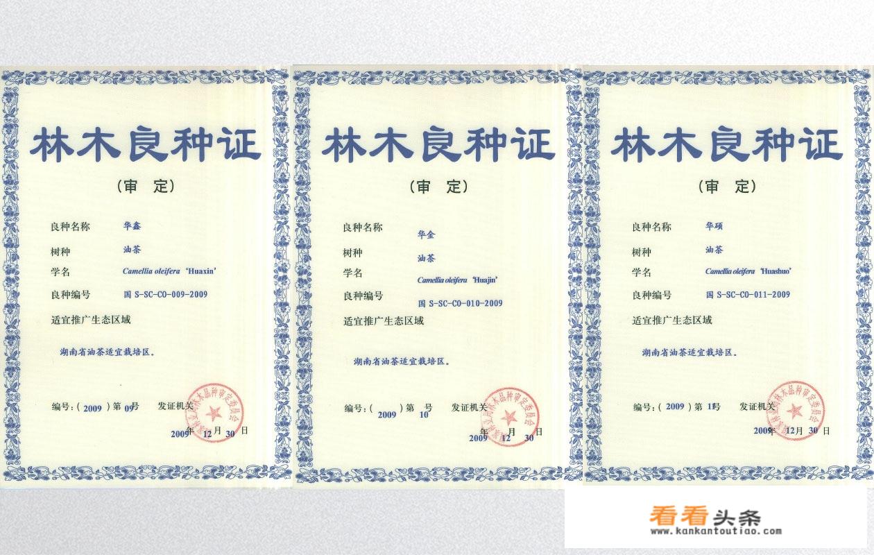 面怎么做好吃，油茶面的家常做法？