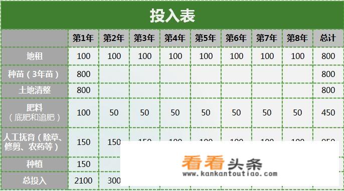 面怎么做好吃，油茶面的家常做法？