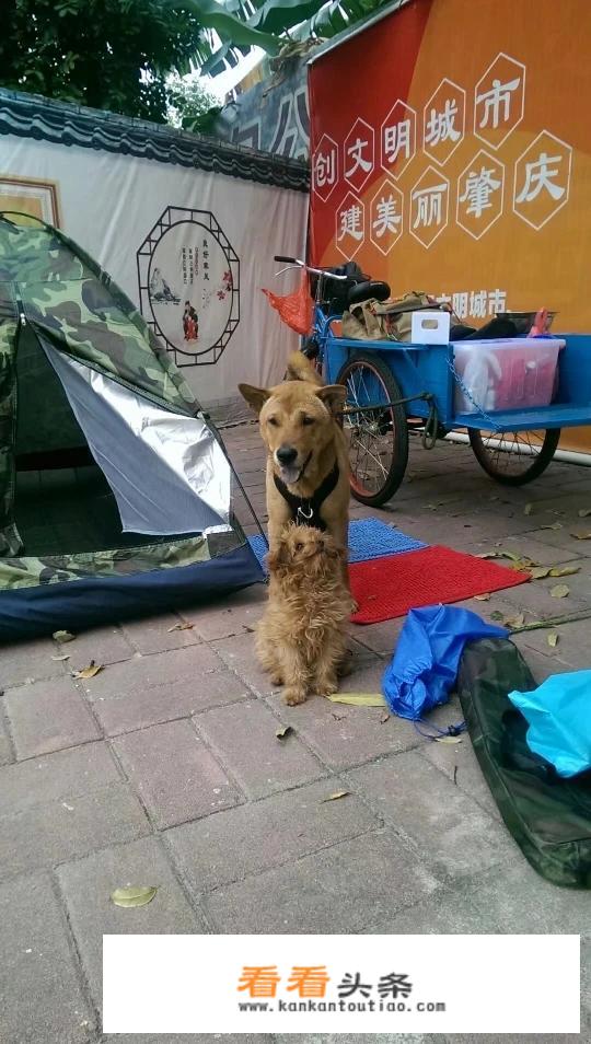 一千块可以去哪里旅行？