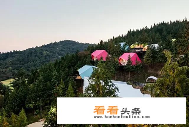 乡村旅游与旅行社合作的方式是什么？