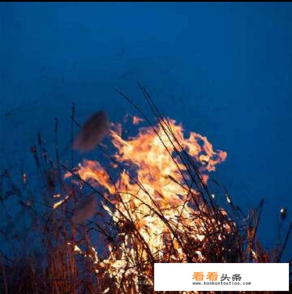 春不渡是什么意思？