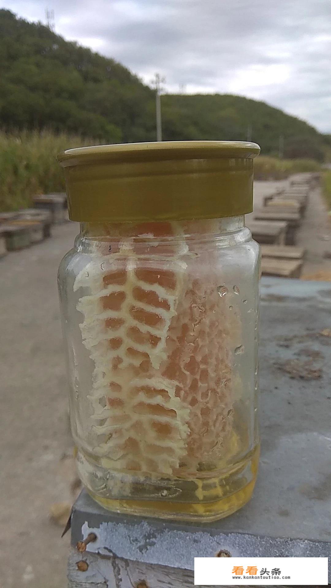 蜂蜜泡生姜能补肾吗？