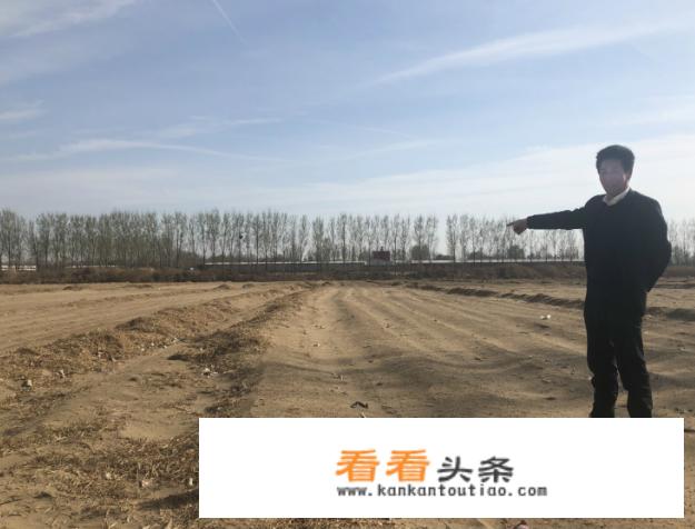 如何科学栽培油莎豆？有没有什么好方法？