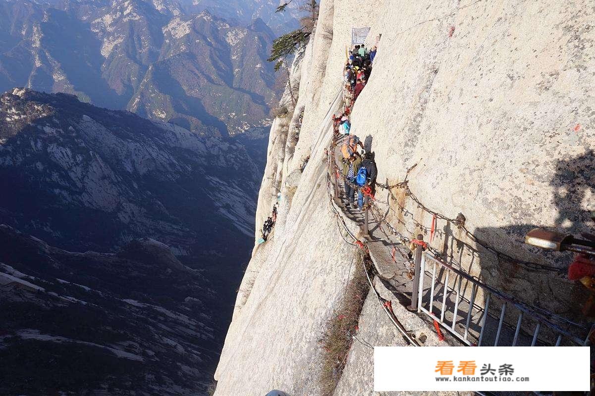 重庆跟洛阳哪个宜居？