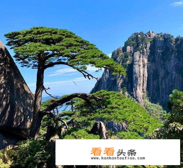 黄山怎么游玩比较省力不需要爬山？