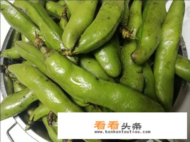 鲜蚕豆家常做法？