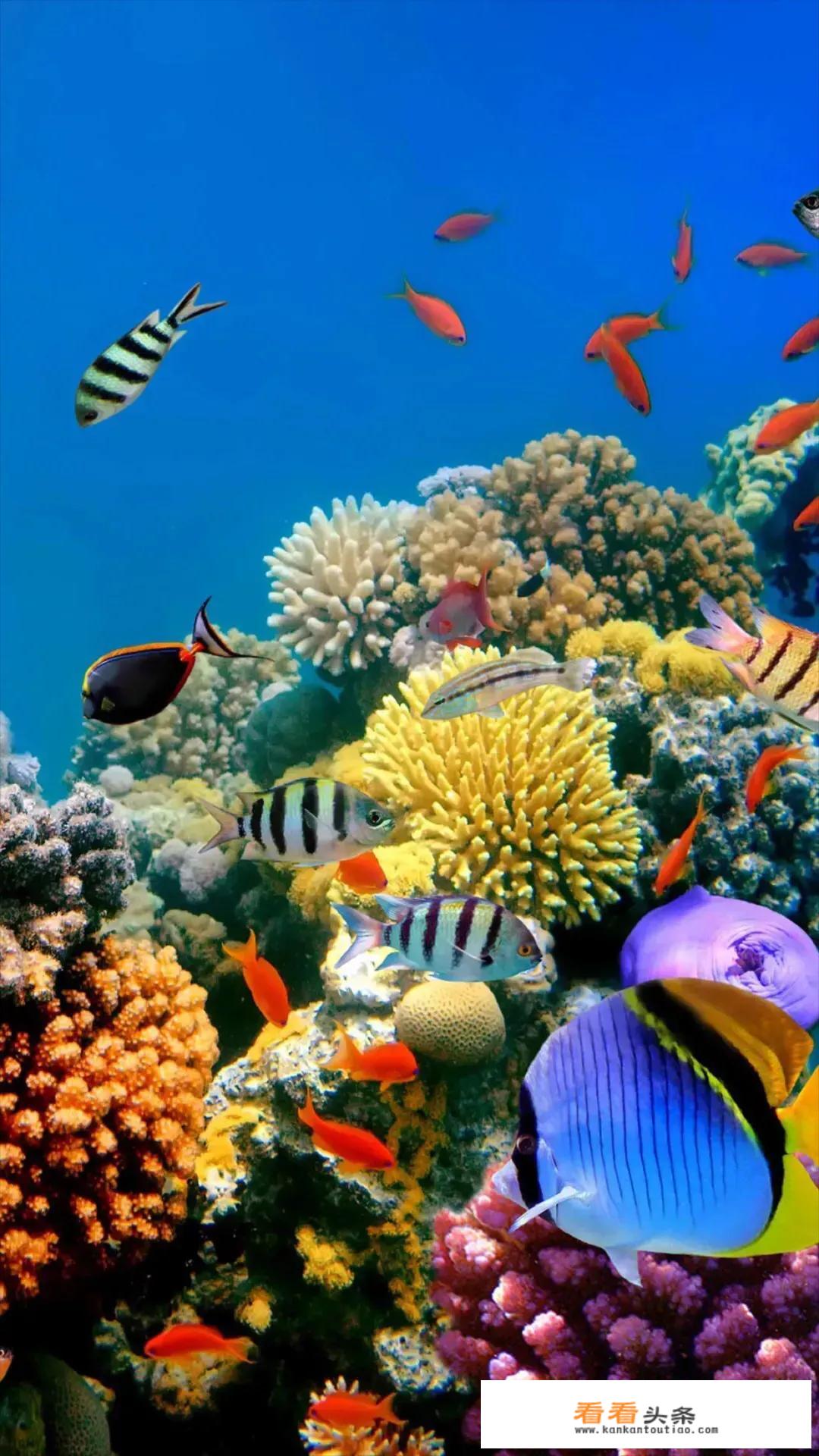 超级生物和超级机械哪个才是未来？