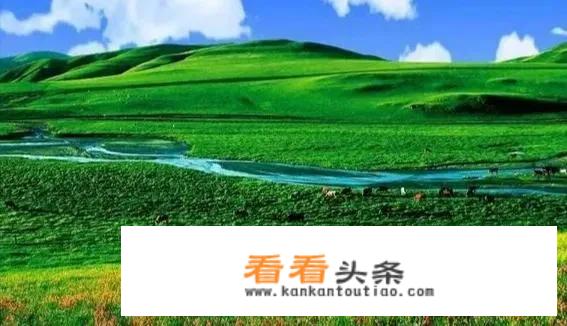 超级生物和超级机械哪个才是未来？