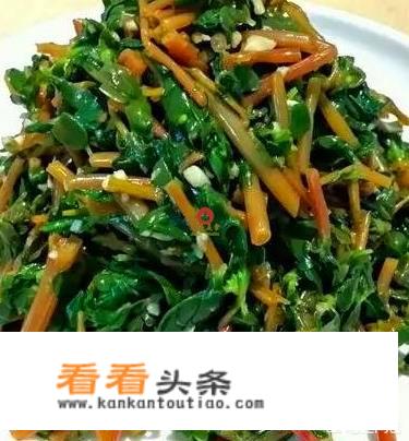 马齿菜有几种吃法？