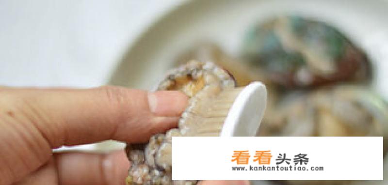 冻鲍鱼怎么做好吃又简单家常的？