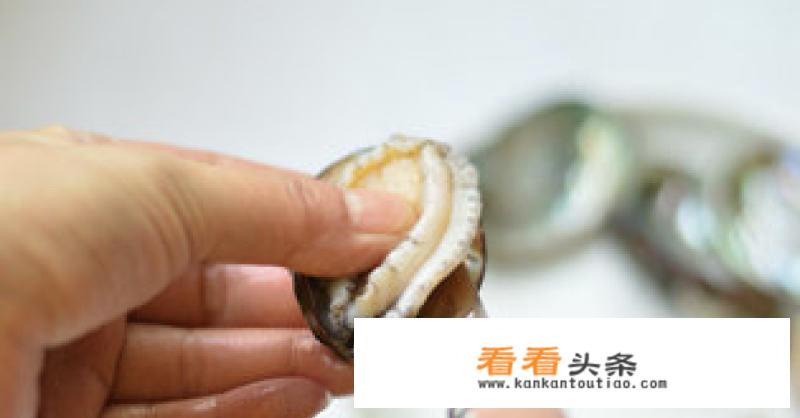 冻鲍鱼怎么做好吃又简单家常的？