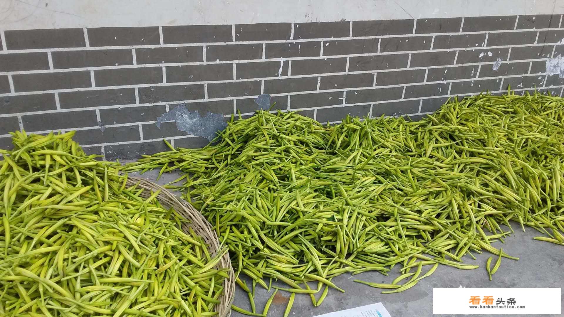 黄花菜正确吃法？