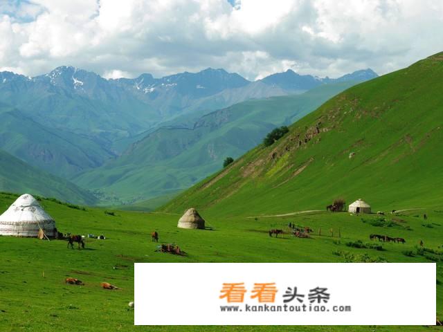 私家车怎样接旅游散客？