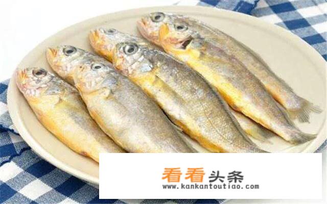 小黄鱼是海鱼还是淡水？
