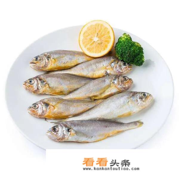 小黄鱼是海鱼还是淡水？