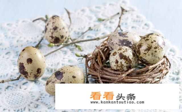 有些农村老人爱说的“飞禽数鹌鹑，走兽数狗肉”是什么意思？你认为有道理吗？