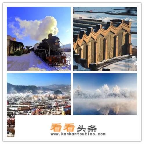 为什么东北人喜欢去美国？