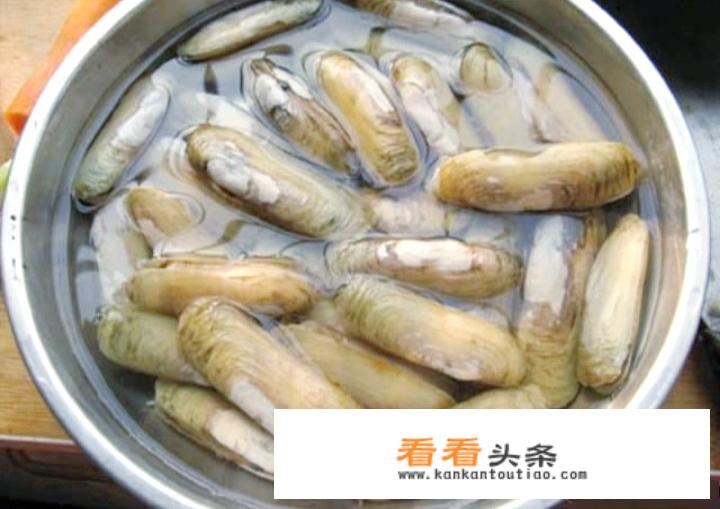 蛏子怎么清洗干净又彻底？