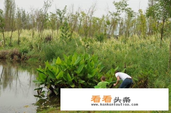 亚洲国产精华更好的产品？