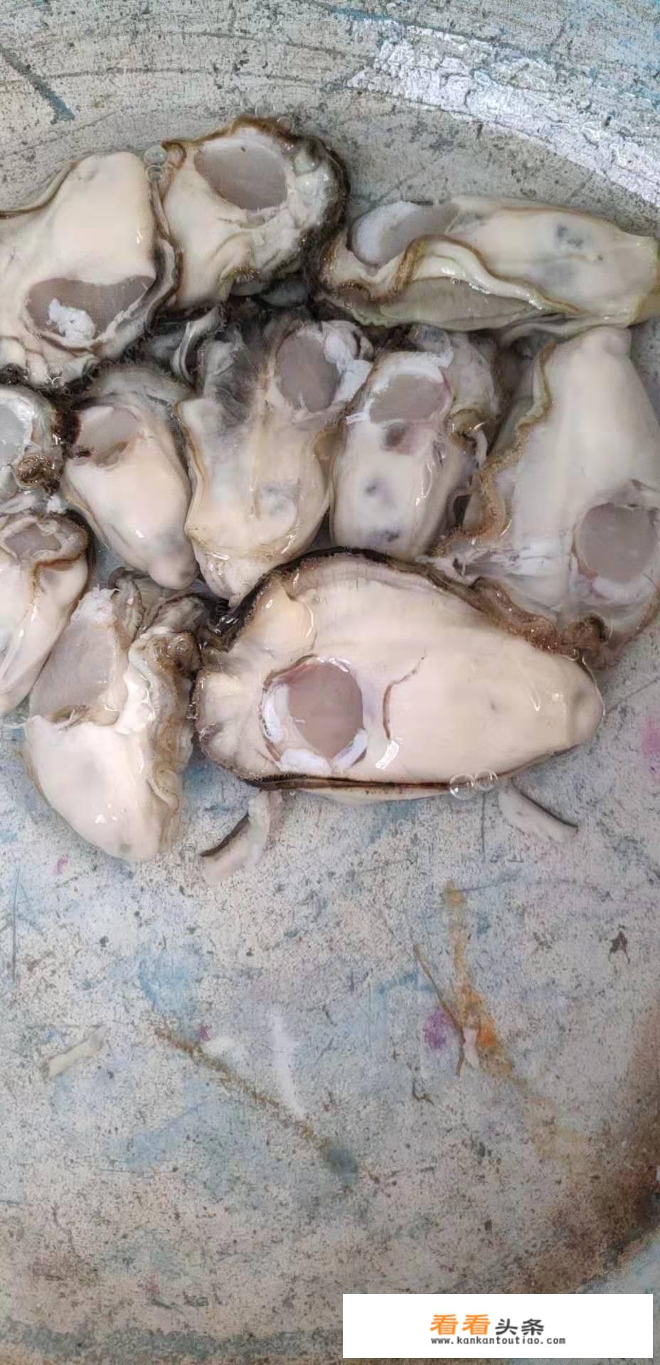 海蛎子煮多长时间更佳？