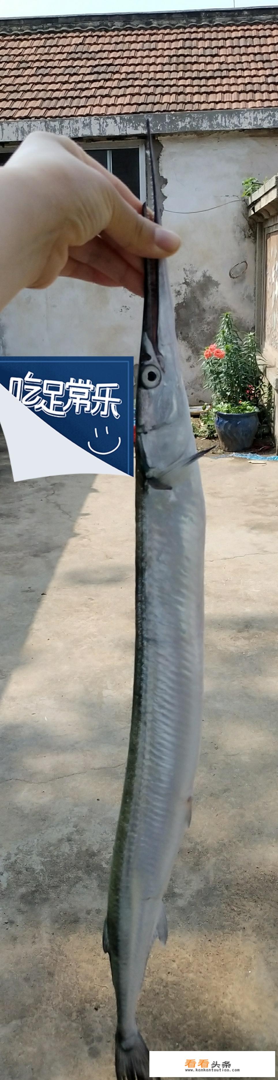 海蛎子煮多长时间更佳？